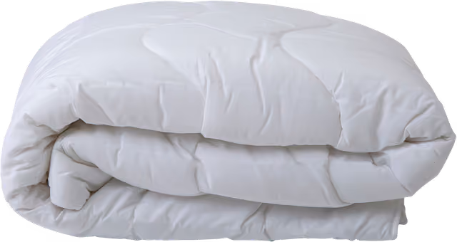 Nest & Living Silver, Duvet