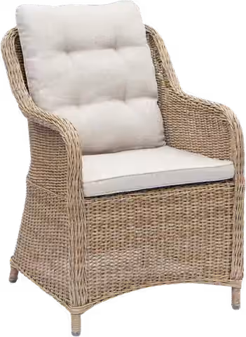 Outdoor Dining Chairs thumbnail