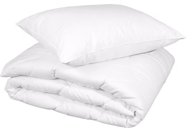 Nest & Living Bronze, Duvet and Pillow Set