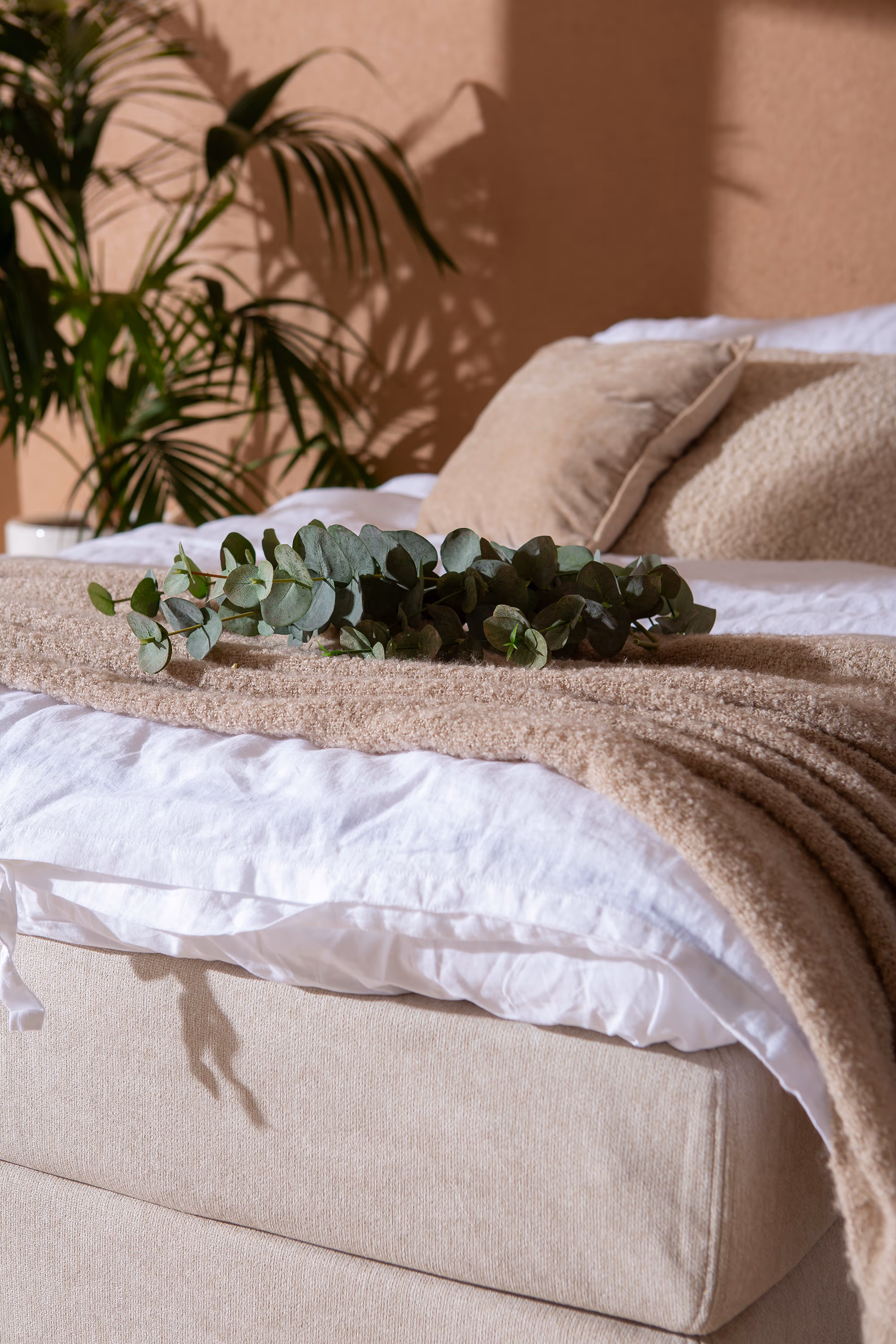 Moon Silver continental bed, Beige image 13