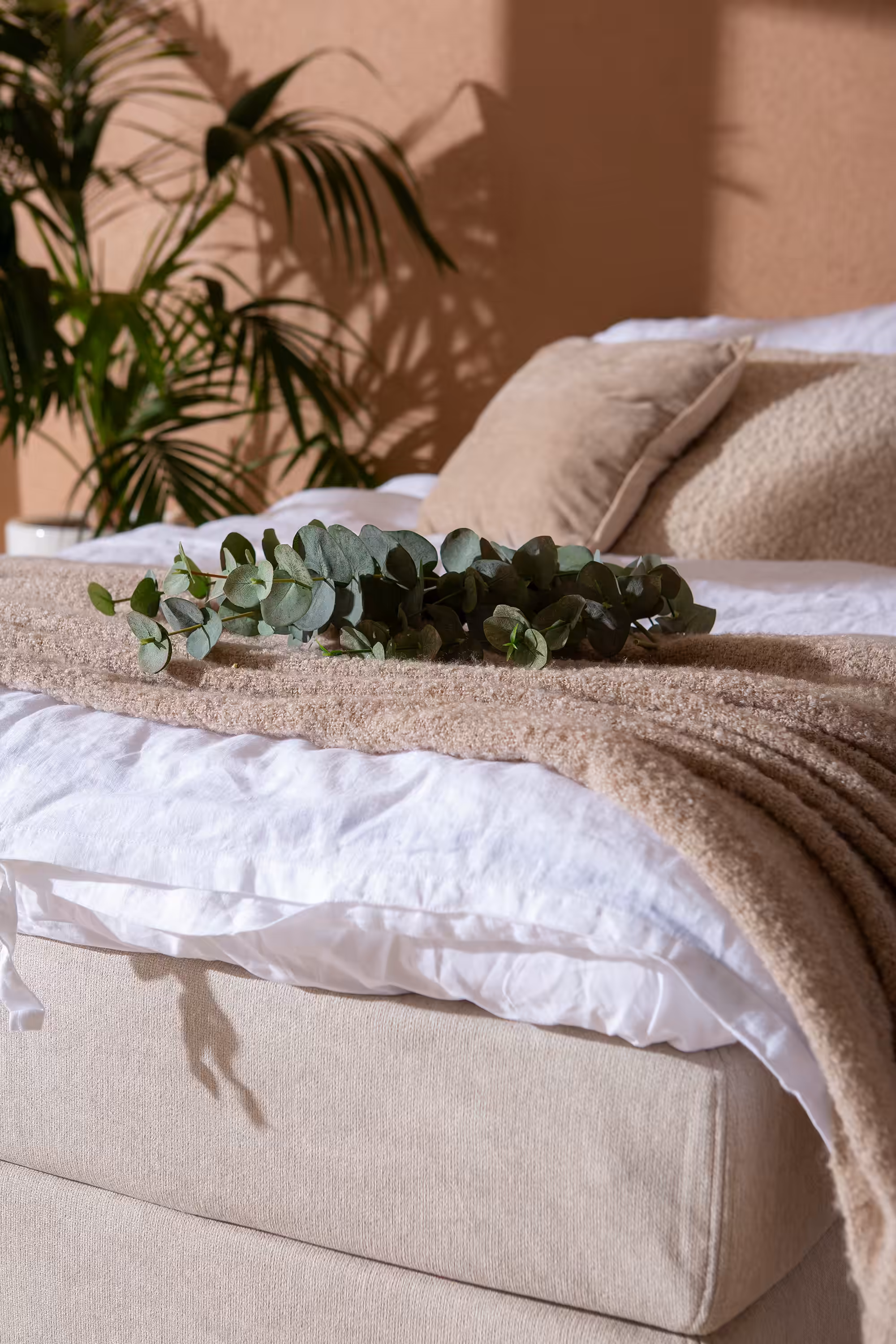Moon Silver continental bed, Beige image 5