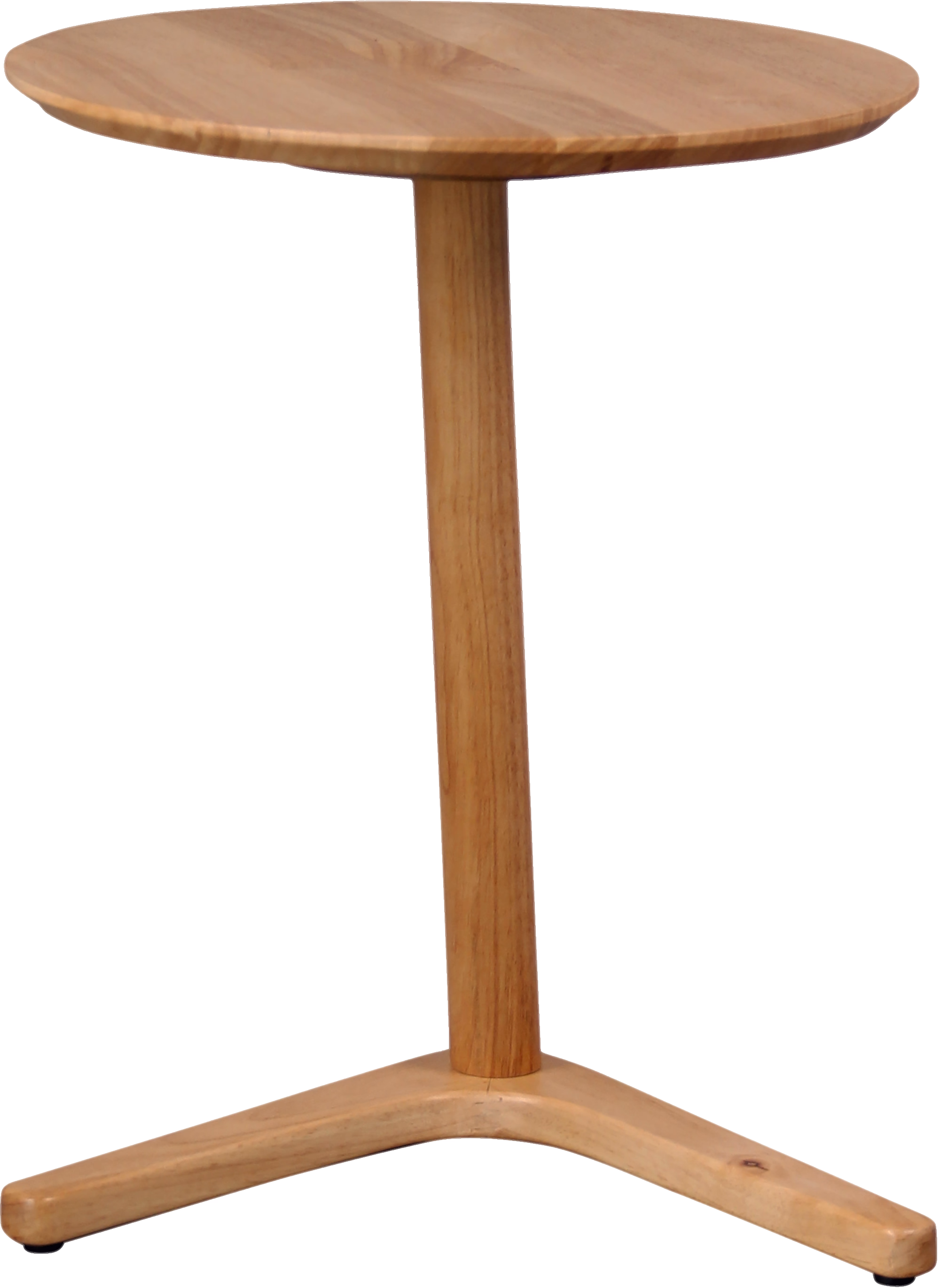 Swallow image 7